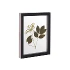 Frame Natural Wood Float Frame Home Deco With Double Polished Glass For Living Room