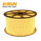 Led Strip High Brightness SMD 5050 8mm 60 Leds/m 100m/roll 220V 230V Flexible LED Strip Lighting LSL-5050RGB