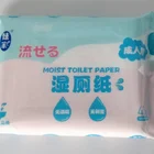 Paper Paper Flushable Biodegradable Toilet Wet Moist Paper