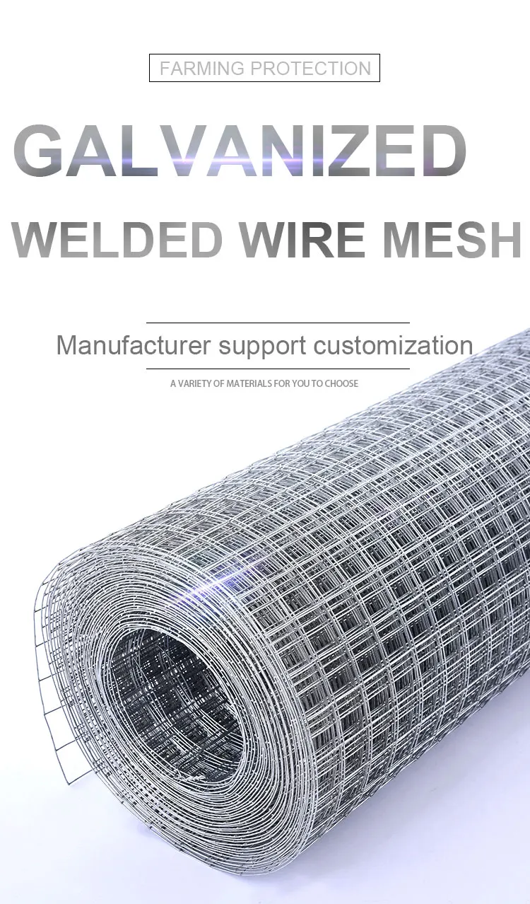 Flower Mesh Roll Welded Wire Mesh Galvanized Wire Welded Wire Mesh Roll Bird Cage Mesh Hardware Cloth Bird Wire Mesh Stainless Steel Hardware Cloth Bird Cage Wire Mesh Rolls Mouse Control Mesh Lowes Chicken Wire Mesh Roll High Tensile Fencing Wire Rolls Galvanized Wire Mesh Rolls Stucco Welded Wire Mesh Galvanized Welded Iron Wire Mesh Manufacturing Square Chicken Wire Mesh