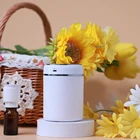 Essential Oils Aromatherapy Essential Wholesale Portable And Small Aromatherapy Diffuser Essential Oils Nebulizer