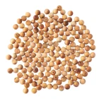 Wooden Beads New Selling Simple Design Natural Wood Cliff Cedar Materials Bracelets Round Shaped Wooden Beads
