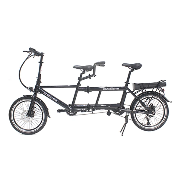 Family Food Cargo Delivery E Bicycle E 