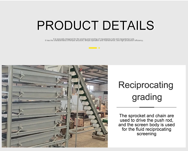 China Manufacturer's New Stainless Steel Automatic Peanut Groundnut Grading Sorting Machine Motor Engine Nuts Corn Soybean factory