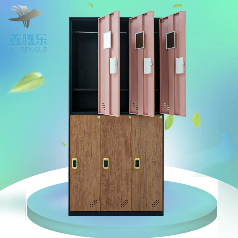 Tengle Supplier Spa Center Student School Lockers gym electronic cabinet lock smart parcel delivery storage locker