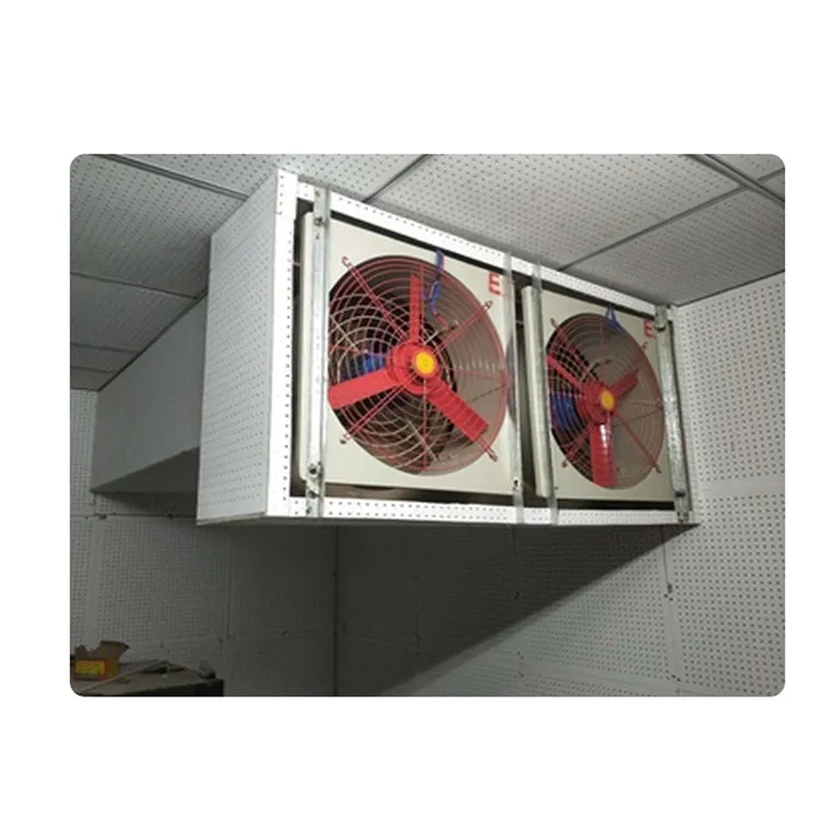Mounted Explosive-proof Ventilation Fan, ATEX, 220v, Wall - detail 12