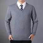 Sweater Merino Men Sweater V-neck Solid Color 100% Wool Business Casual Sweater Small Order Wholesale