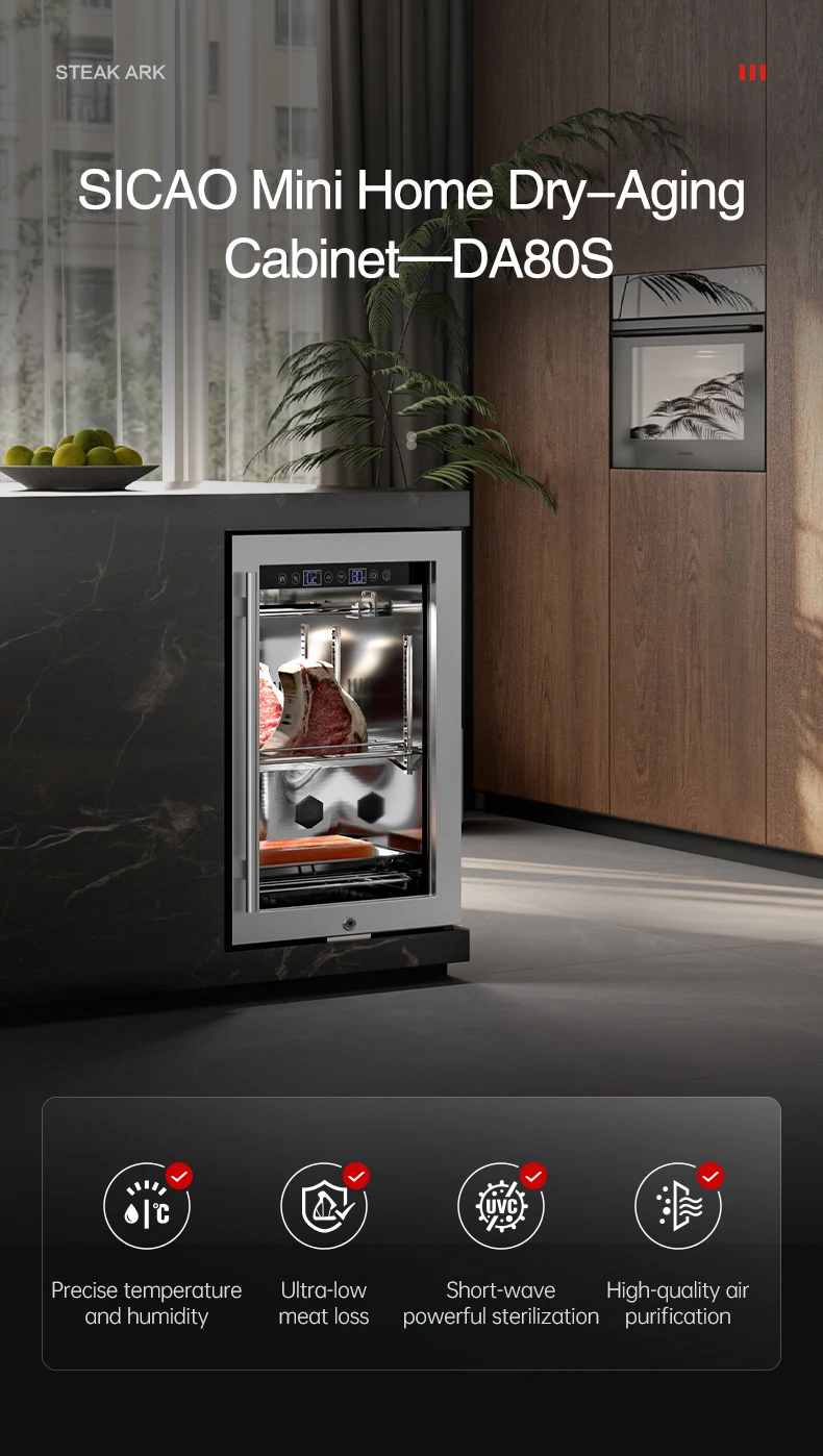 Dri Ageing Fridge Cooler, SICAO - detail 6