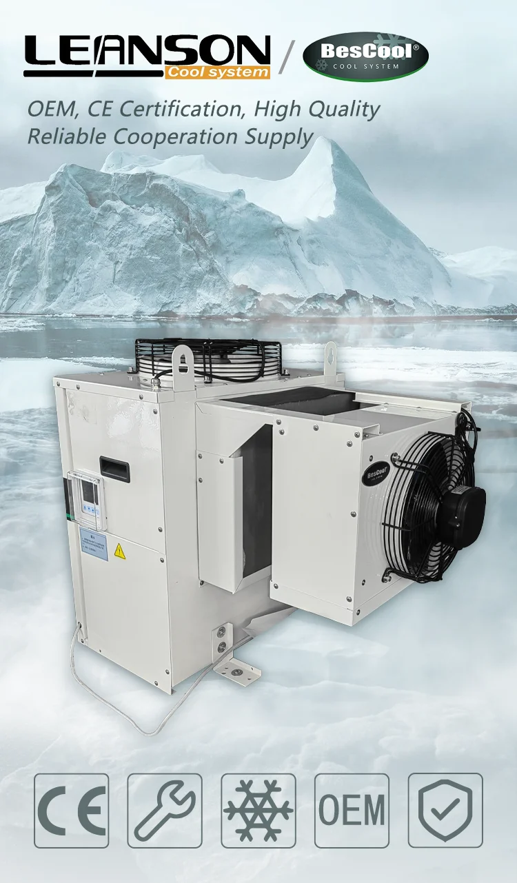 Cold Room Refrigeration Unit, Monoblock, 220V, -35℃:2840W - detail 2
