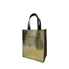 Tote Laminated Metallic Non Woven Bag Shopping