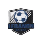 Soccer Embroidery Patch Embroidery Embroidery Design Patch Soccer Teams Logo Embroidery Patch