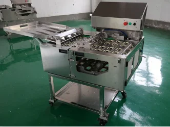 Multifunctional Automatic Egg Cleaner Classifier Grader Machine Small Egg Washing Grading Machine With Low Price details