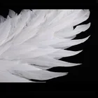 Feather Angel Wings Halloween Decoration Adult Kids Black Feather Angel Wings Feather Wings