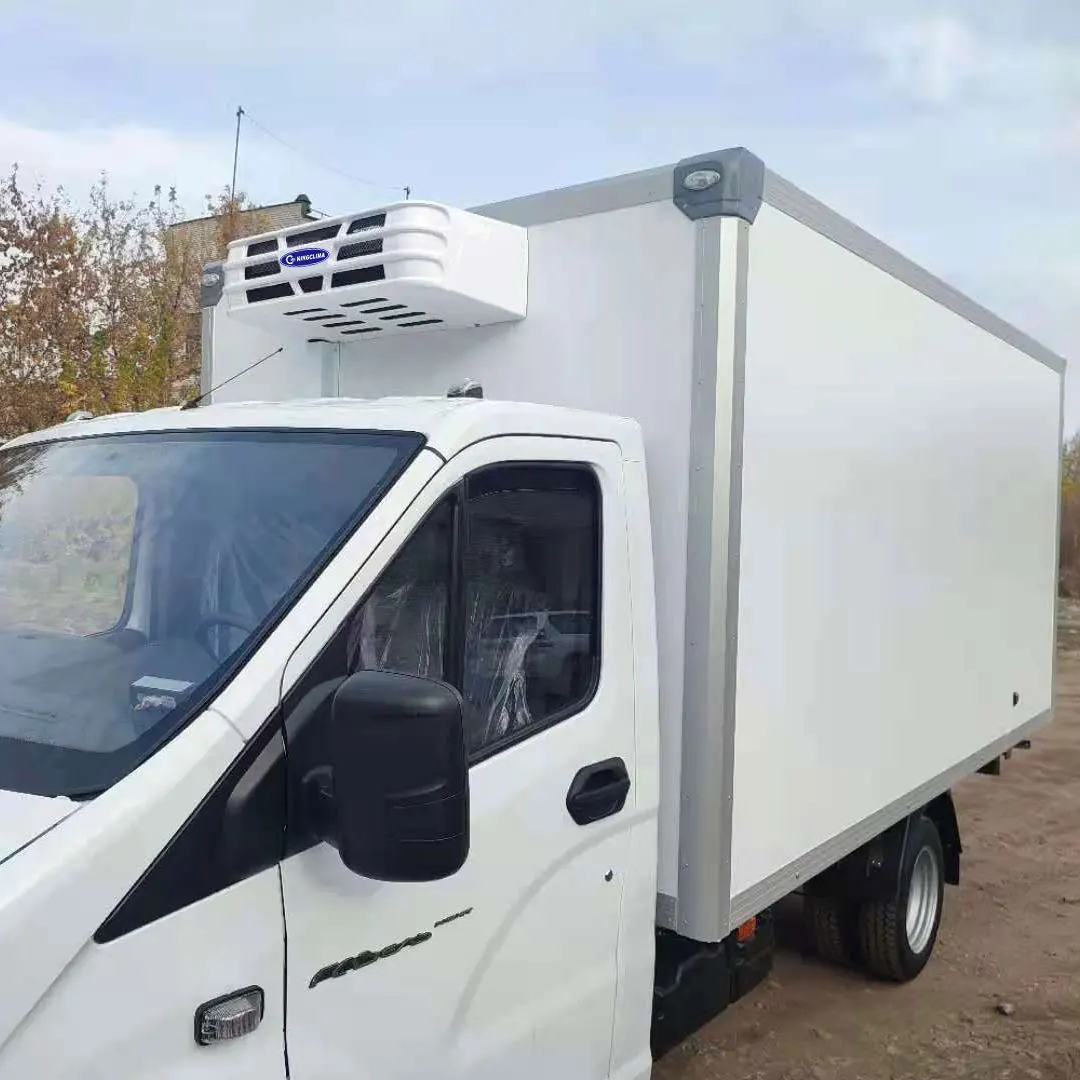 Quality Truck Refrigeration Unit, DC12V, -18℃ - detail 8
