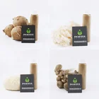 Oil Extract GMP Manufacture Natural Centella Asiatica Oil Extract Powder Low Price