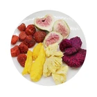 Wholesale High Quality Standards Pineapple Natural Fruit Pet Treat