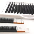 Extension Mink Lashes 3D Fans Easy Make Russian Volume Eyelashes Extension