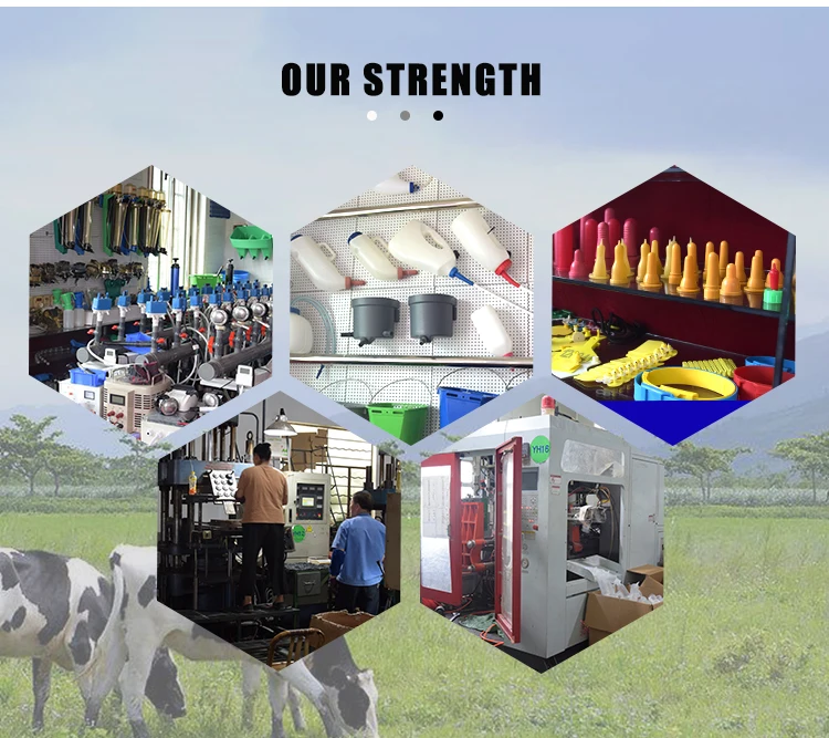 product dairy cow used super maxi size ear tag laser printed for pig identification marker customizable logo number-5