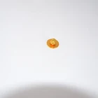 Round Hot Selling High-end Round Nail-free Buttons Waist Textile Accessories Screw Rivet Buttons