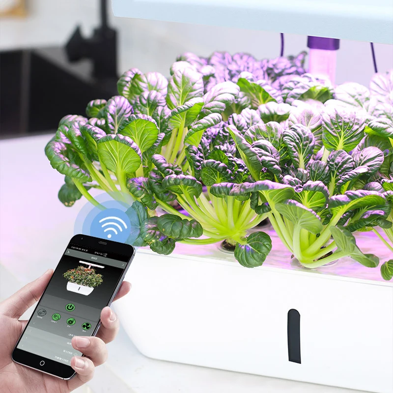 Manufacturer Small Automatic Hydroponic Planter, Smart Indoor Planter Watering, Smart Planter Led