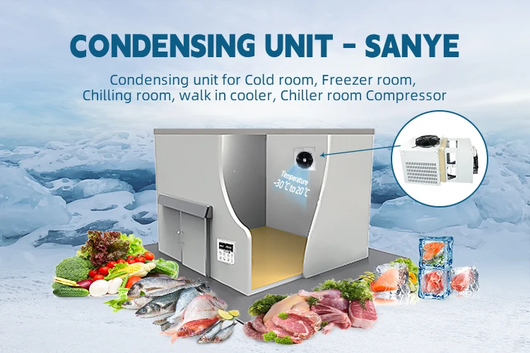 Condensing Unit, 2hp, 3hp, 5hp, Inverter - detail 2