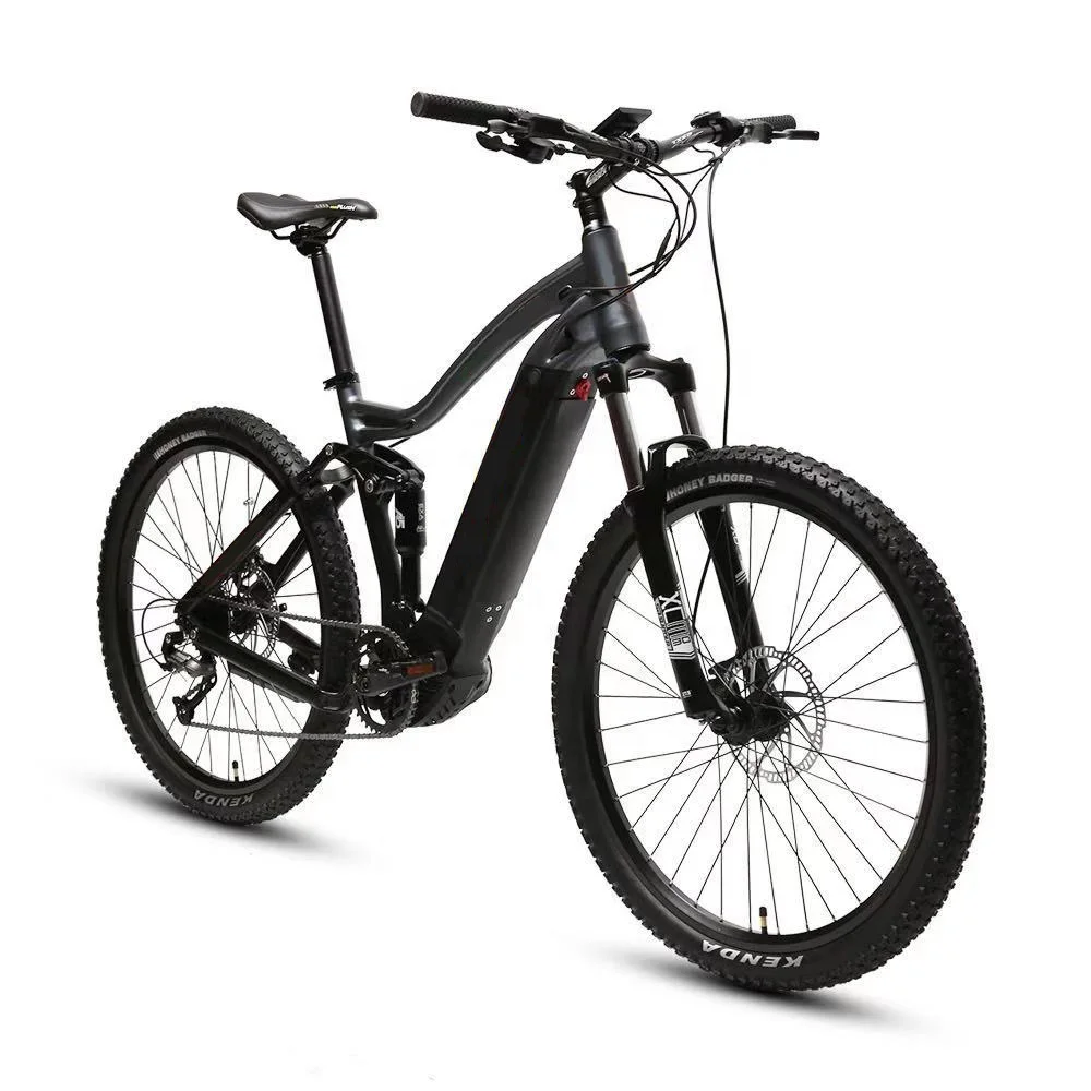 full suspension ebike for sale