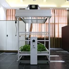 Plant Indoor Plant Growing Systems Indoor Plant Hydroponic System Vertical Grow Rack For Seedlings Growing