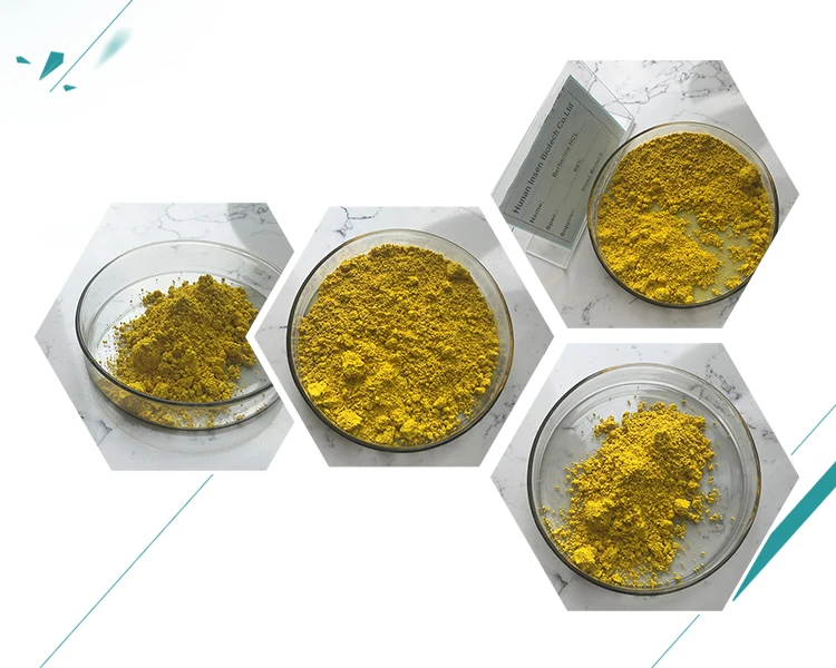 Phellodendron Extract 97% Berberine HCL Powder