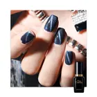 Uv Nail MissCandy Nail Supplier Cat Eyes Gel Nails UV Gel Professional Nail Salon Products Uv Lamp