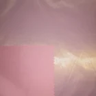 Jacket Manufactory Direct 100%nylon Winter Clothes Fabric Downproof Coat Casual Jacket Transfer Bright Coated