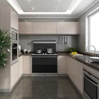 Lacquer Wood Hot Selling Metallic Lacquer Modern Designs Modular Wood Kitchen Cabinet