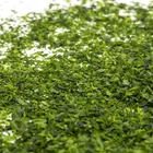 Organic Organic Specializing In The Production Of High-quality Seaweed Green Organic Health Care Powder