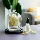 Newly Designed Fragrance Purple Crystal Diffuser With Essential Oils In The Glass Shelf