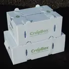 Plastic Plastic Box Packaging Manufacturers Customize PP Plastic Corrugated Hollow Board Agriculture Packing Boxes