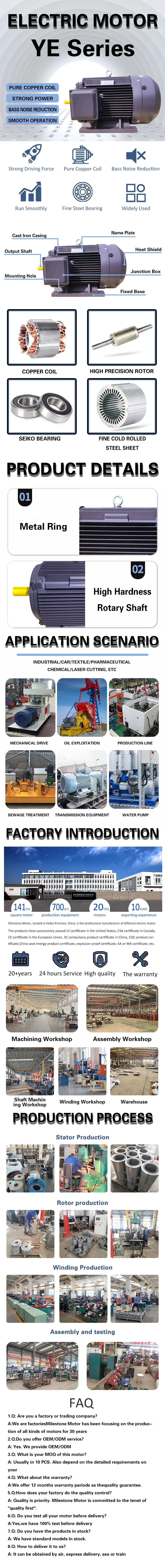 Three Phase Induction Motor, SEMC, WEG, TECO, 100hp - detail 4