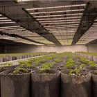 Led Led Grow Led Lights Flexstar US Canada Warehouse 1 Day Shipping Samsung 301h 301b Dimmable Full Spectrum LED Grow Lights