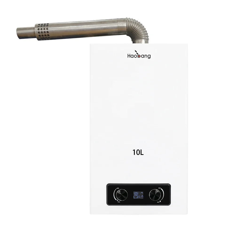 16L 18L 220V Wall Mounted Balanced Exhaust Gas Water Heater for Household and Commercial Use