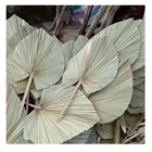For Wedding Wedding Decoration Flowers 2020 Most Popular Dried Flower Dried Palm Leaves For Wedding Decoration