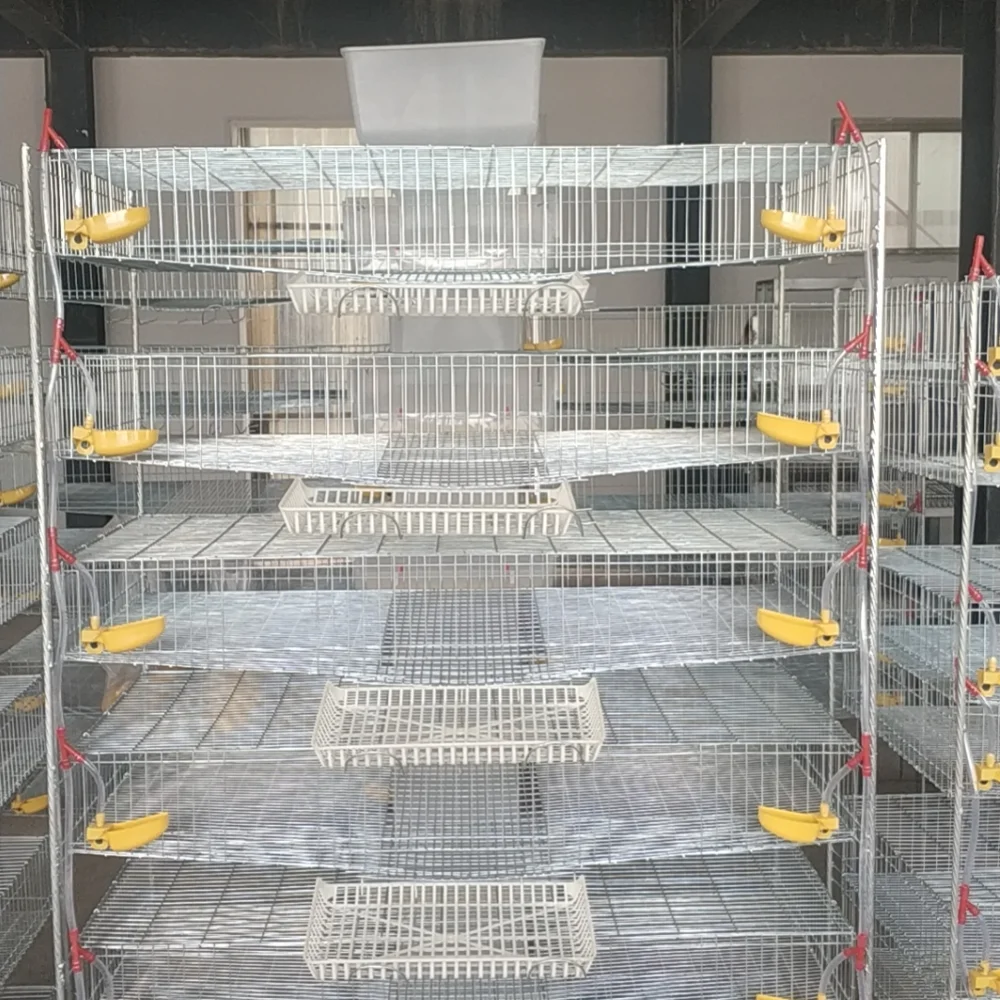 TYPE - 4 Quail Breeding Cage Quail Eggs Modular System 