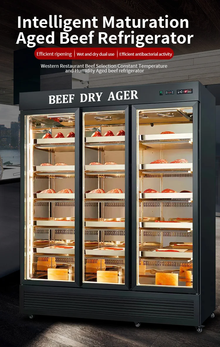 Kitchen Dry Aging Refrigerator, 220V-240V, R134a - detail 4