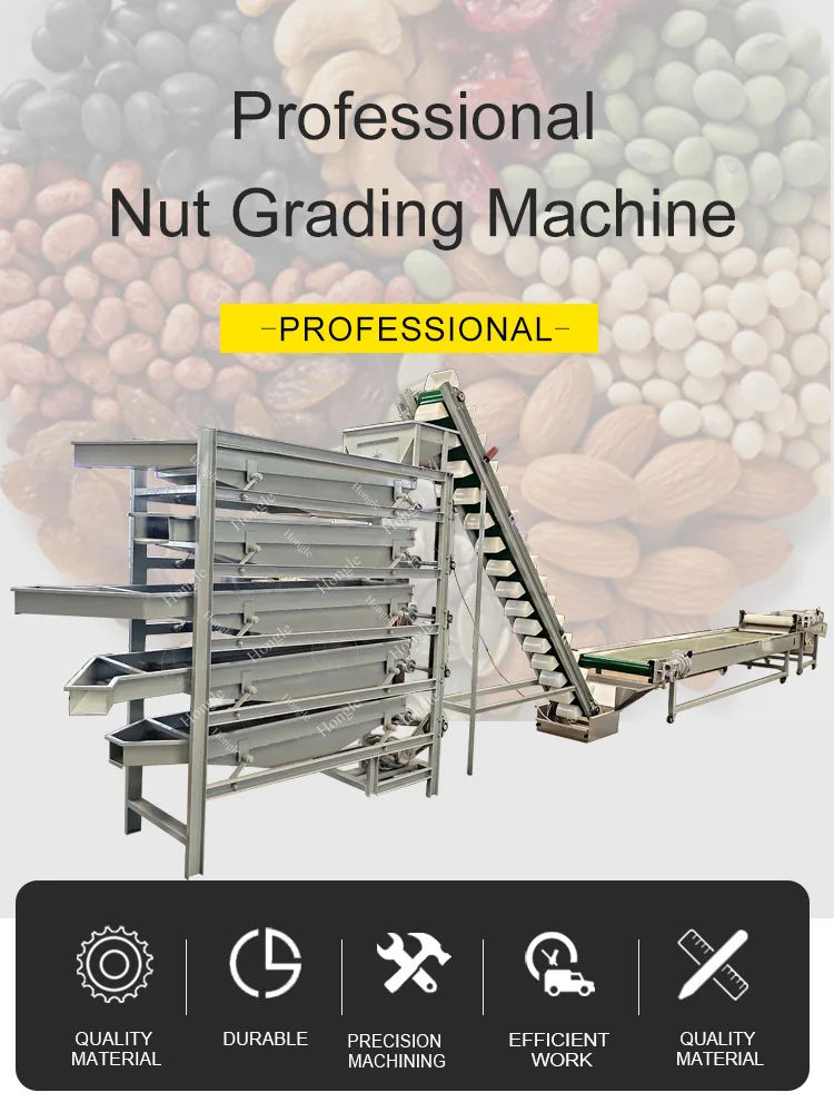 China Manufacturer's New Stainless Steel Automatic Peanut Groundnut Grading Sorting Machine Motor Engine Nuts Corn Soybean factory