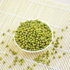 Beans Wholesale Premium Quality Green Mung Beans Medium Grains