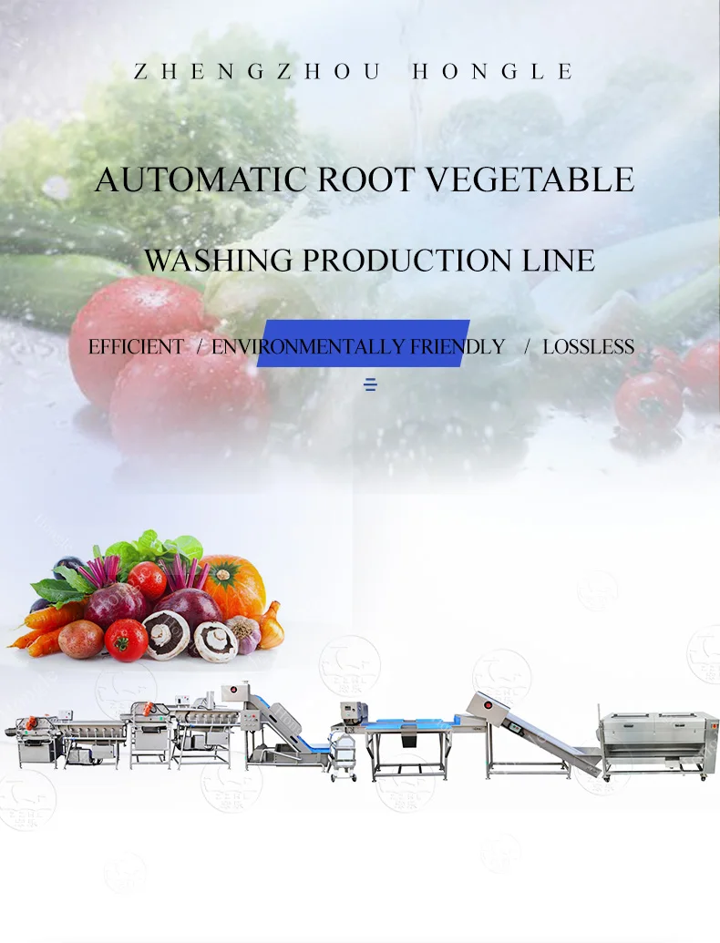 Fruits and Veggies Packing Machine Full Multi-Function Brush Organe Carrot Orange Sorting Washing Waxing Green Onion Cutter Line manufacture