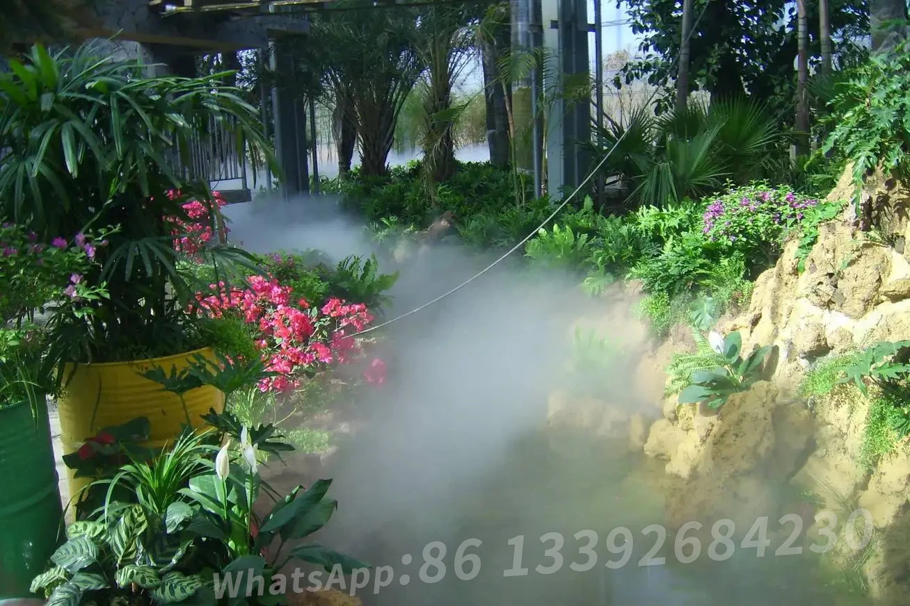 Fog Machine Pump 750w 3l/min Mist System 220v 110v Water Fog Machine