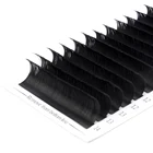 White Eyelashes OEM White Label Lash Extension Easy To Use Fake Eyelashes Extensions Natural Lashes