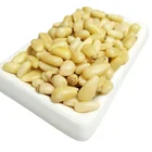 Pine Nuts China Manufacturers Supply Dried Fruit Pine Nuts Kernels Edible Nuts Pine