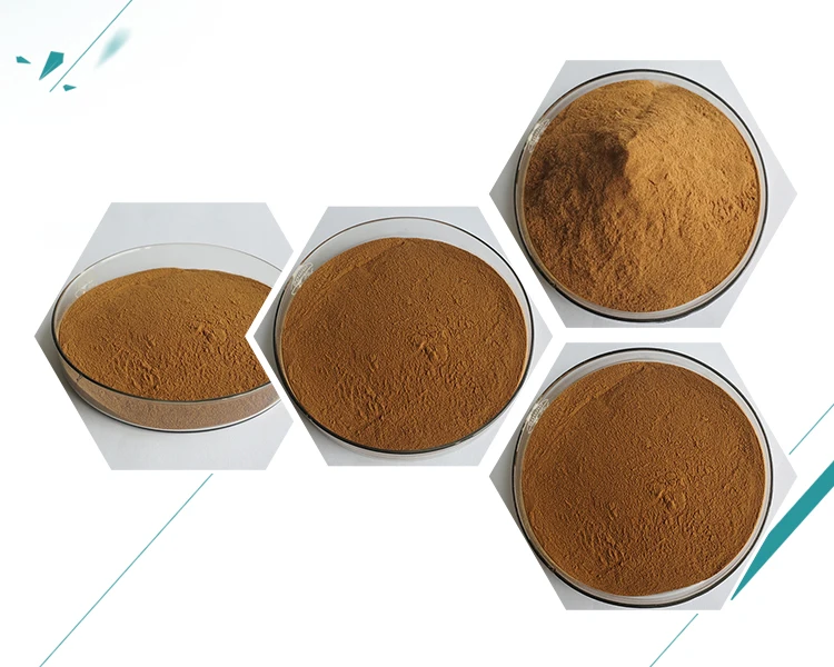 Insen Factory Supply Bulk Ajuga Turkestanica Extract Turkesterone