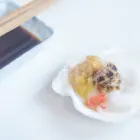 Sea Shell Cheap Hot Sale Seafood Wholesale Health Raw Frozen Scallop Sea Shell Raw Scallops