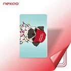 Custom Card BKGC01 Wholesale Plastic PVC Custom Gift Card Printing With Envelope