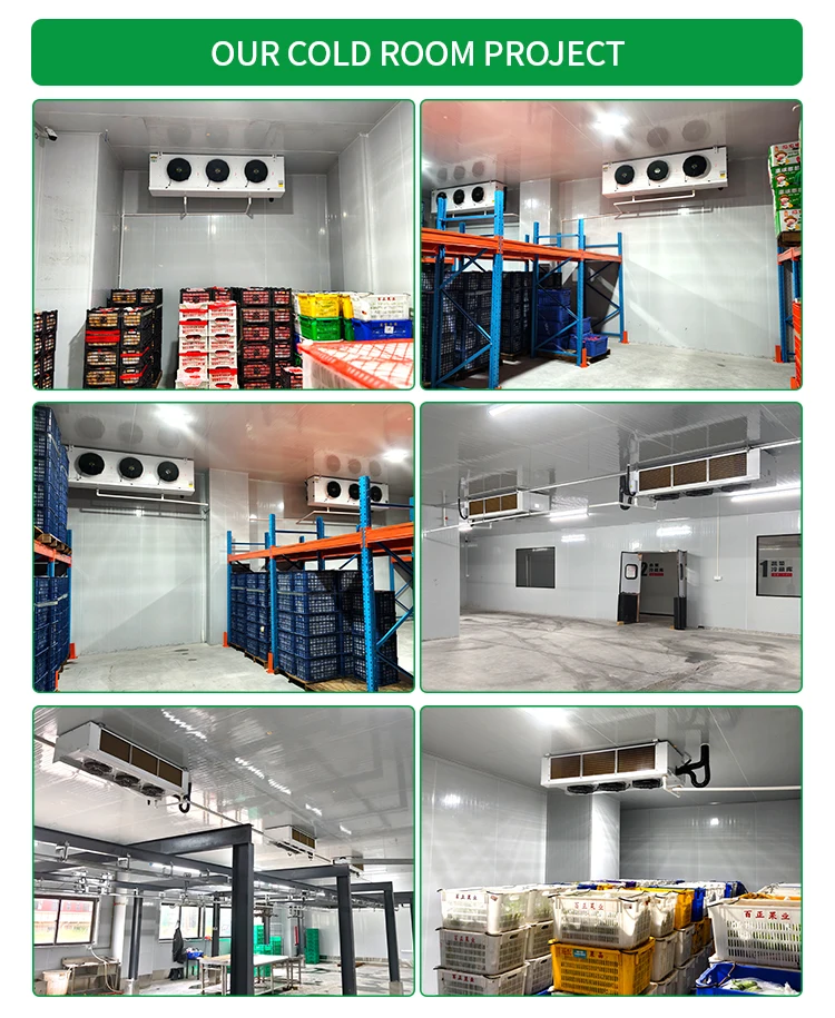 Condensing Unit, 380 V, -20degree - detail 12